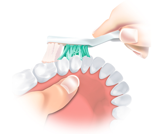 TRISA Denture Brush Щетка для зубных протезов, изображение 3