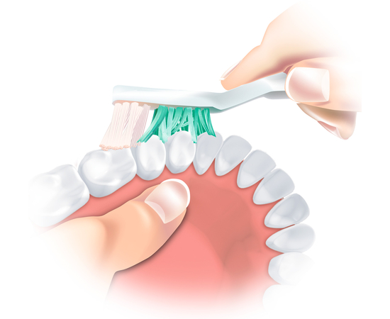 TRISA Denture Brush Щетка для зубных протезов, изображение 3