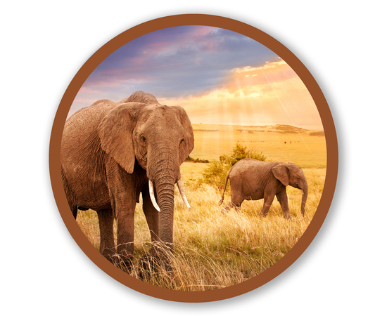 TRISA Young Детская зубная щетка, 6+ лет, мягкая, 2 шт., изображение 9